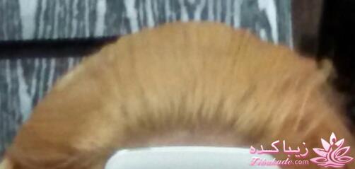 رنگ مو، آموزش ترکیب رنگ مو